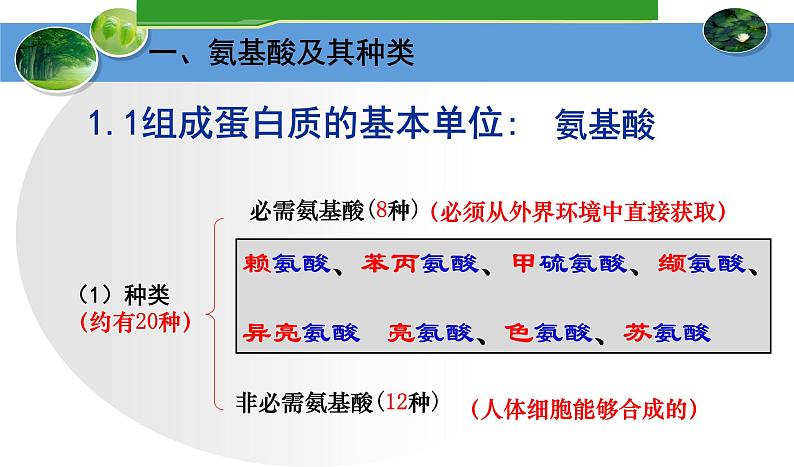 高中生物人教版 (新课标) 必修1课件  2.2生命活动的主要承担者—蛋白质04