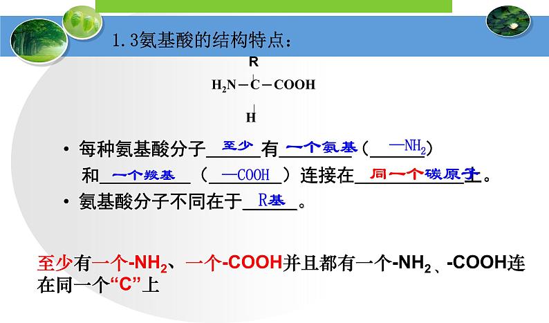 高中生物人教版 (新课标) 必修1课件  2.2生命活动的主要承担者—蛋白质07