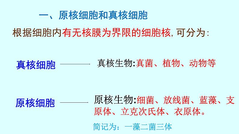 高中生物人教版 (新课标) 必修1课件  1.2.2细胞的多样性和统一性07