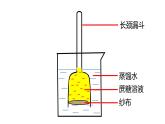 高中生物人教版 (新课标) 必修1课件  4.1 物质跨膜运输的实例