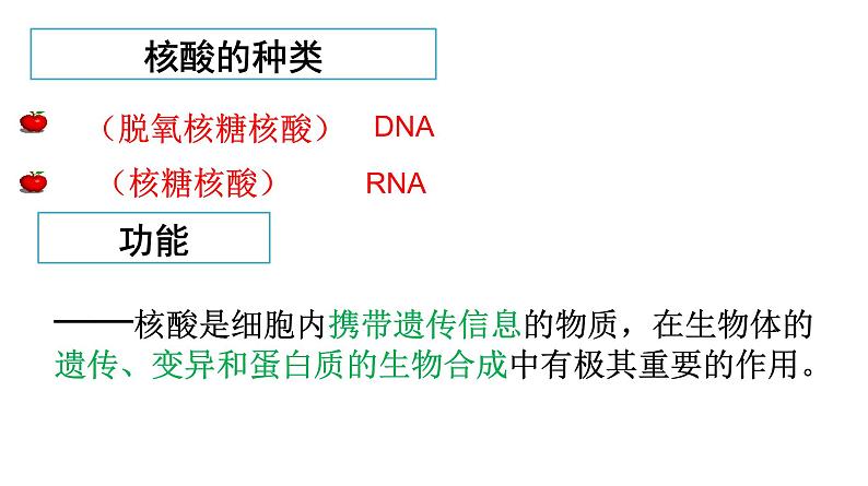 高中生物人教版 (新课标) 必修1课件  2.3 遗传信息的携带者—核酸05