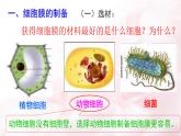 高中生物人教版 (新课标) 必修1课件  3.1细胞膜 系统的边界