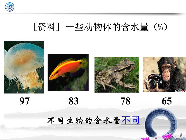 高中生物人教版 (新课标) 必修1课件  2.5 细胞中的无机物04