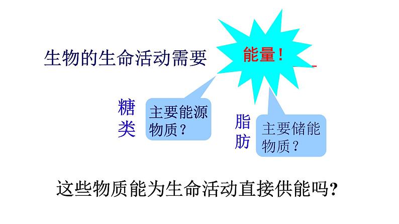 高中生物人教版 (新课标) 必修1课件  5.2 细胞的能量“通货”——ATP05