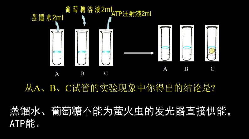高中生物人教版 (新课标) 必修1课件  5.2 细胞的能量“通货”——ATP07
