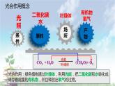 高中生物人教版 (新课标) 必修1课件  5.4 能量之源—光与光合作用（第二课时）删减版