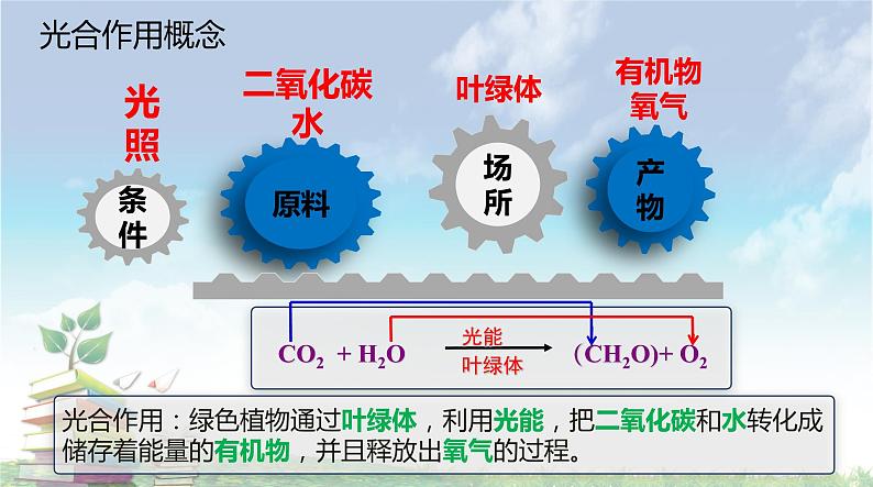 高中生物人教版 (新课标) 必修1课件  5.4 能量之源—光与光合作用（第二课时）删减版03