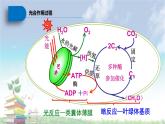 高中生物人教版 (新课标) 必修1课件  5.4 能量之源—光与光合作用（第二课时）删减版