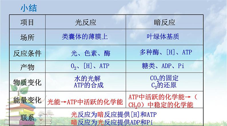 高中生物人教版 (新课标) 必修1课件  5.4 能量之源—光与光合作用（第二课时）删减版06