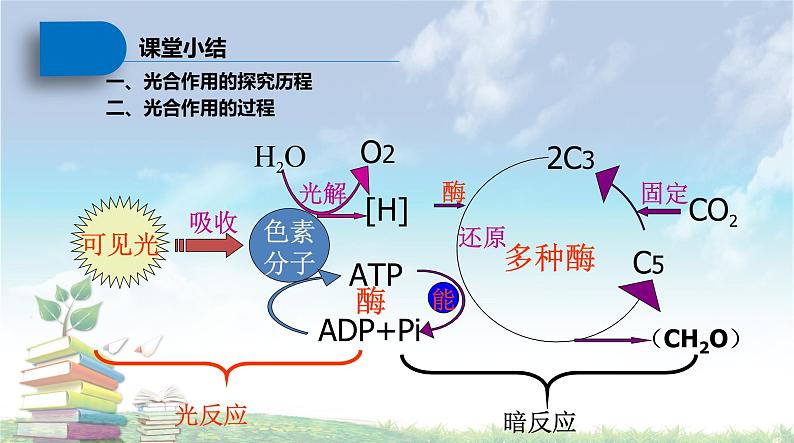 高中生物人教版 (新课标) 必修1课件  5.4 能量之源—光与光合作用（第二课时）删减版08