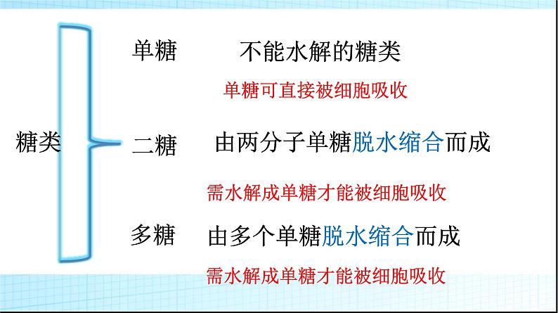 高中生物人教版 (新课标) 必修1课件  2.4 细胞中的糖类和脂质04