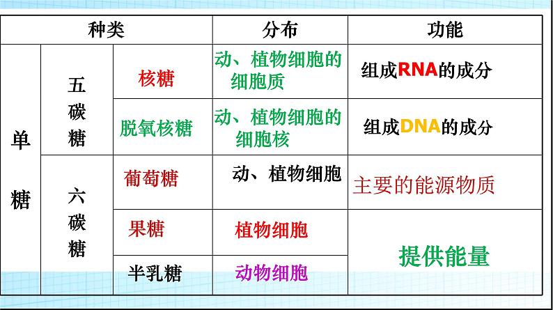 高中生物人教版 (新课标) 必修1课件  2.4 细胞中的糖类和脂质05