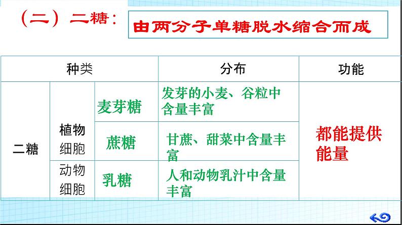 高中生物人教版 (新课标) 必修1课件  2.4 细胞中的糖类和脂质06