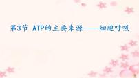 高中人教版 (新课标)第3节 ATP的主要来源──细胞呼吸说课ppt课件