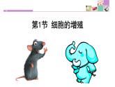 高中生物人教版 (新课标) 必修1课件  6.1 细胞的增殖