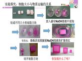 高中生物人教版 (新课标) 必修1课件  6.1 细胞的增殖