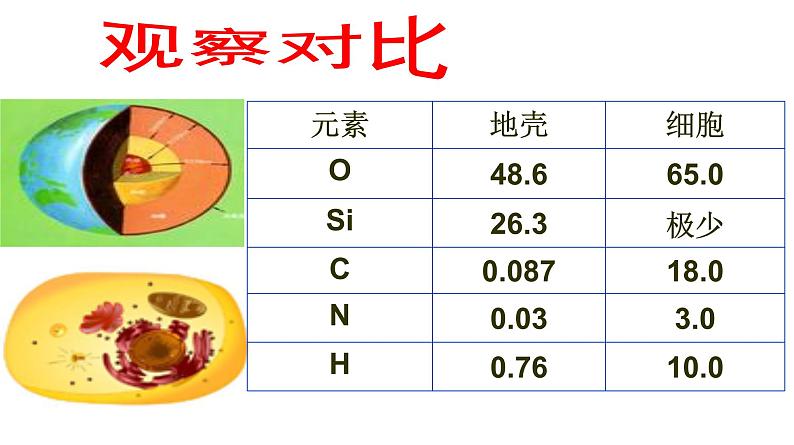 高中生物人教版 (新课标) 必修1课件  2.1 细胞中的元素和化合物02