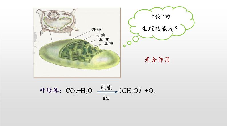 高中生物人教版 (新课标) 必修1课件  5.1 降低化学反应活化能的酶（第一课时）04