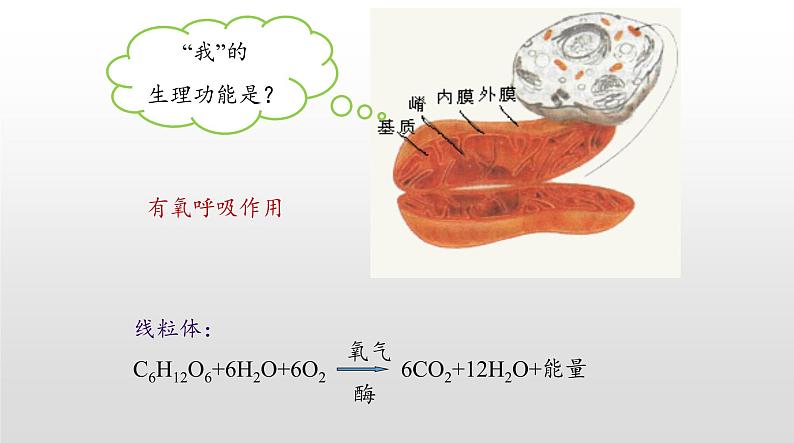 高中生物人教版 (新课标) 必修1课件  5.1 降低化学反应活化能的酶（第一课时）05