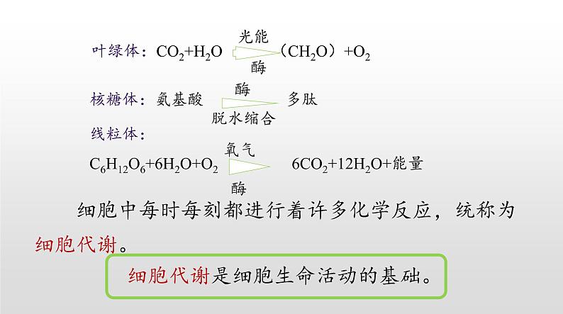 高中生物人教版 (新课标) 必修1课件  5.1 降低化学反应活化能的酶（第一课时）07