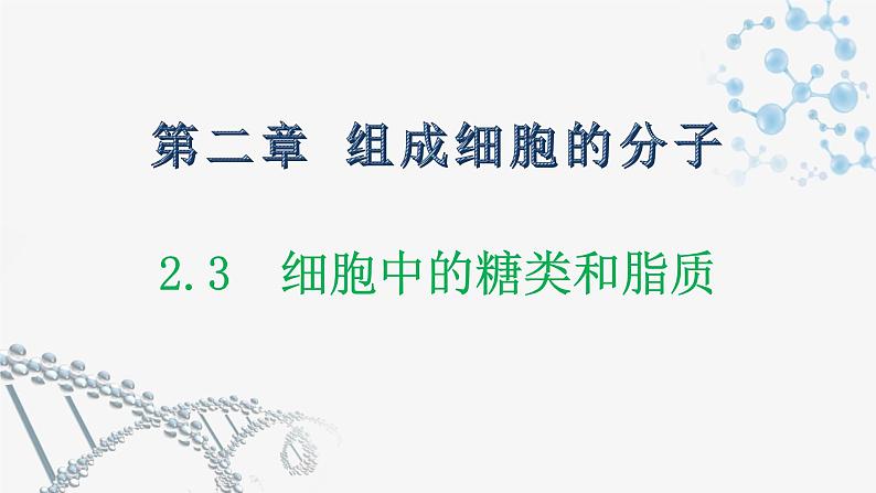 2.3 细胞中的糖类和脂质课件PPT01