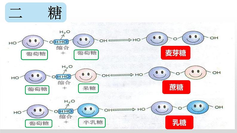 2.3 细胞中的糖类和脂质课件PPT08