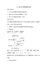 高中生物人教版 (新课标)必修2《遗传与进化》第2节 DNA分子的结构学案设计