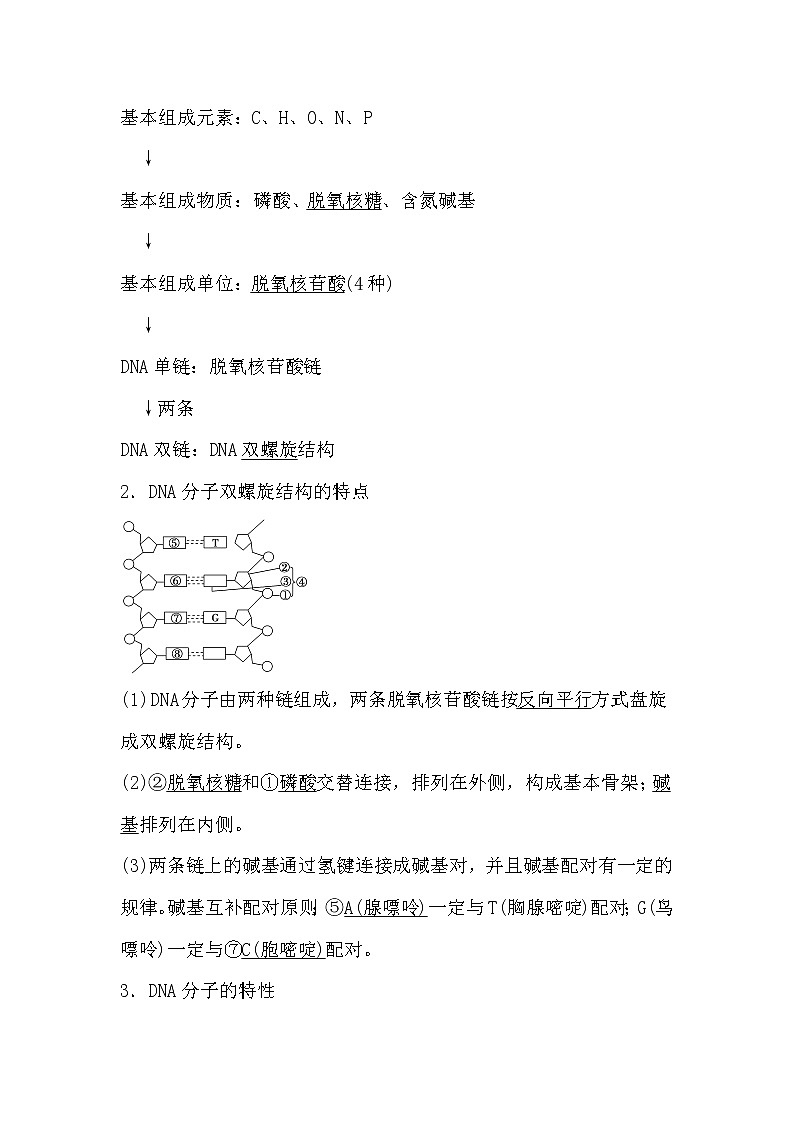 人教版高中生物必修2《遗传与进化》3.2 DNA分子的结构导学案02