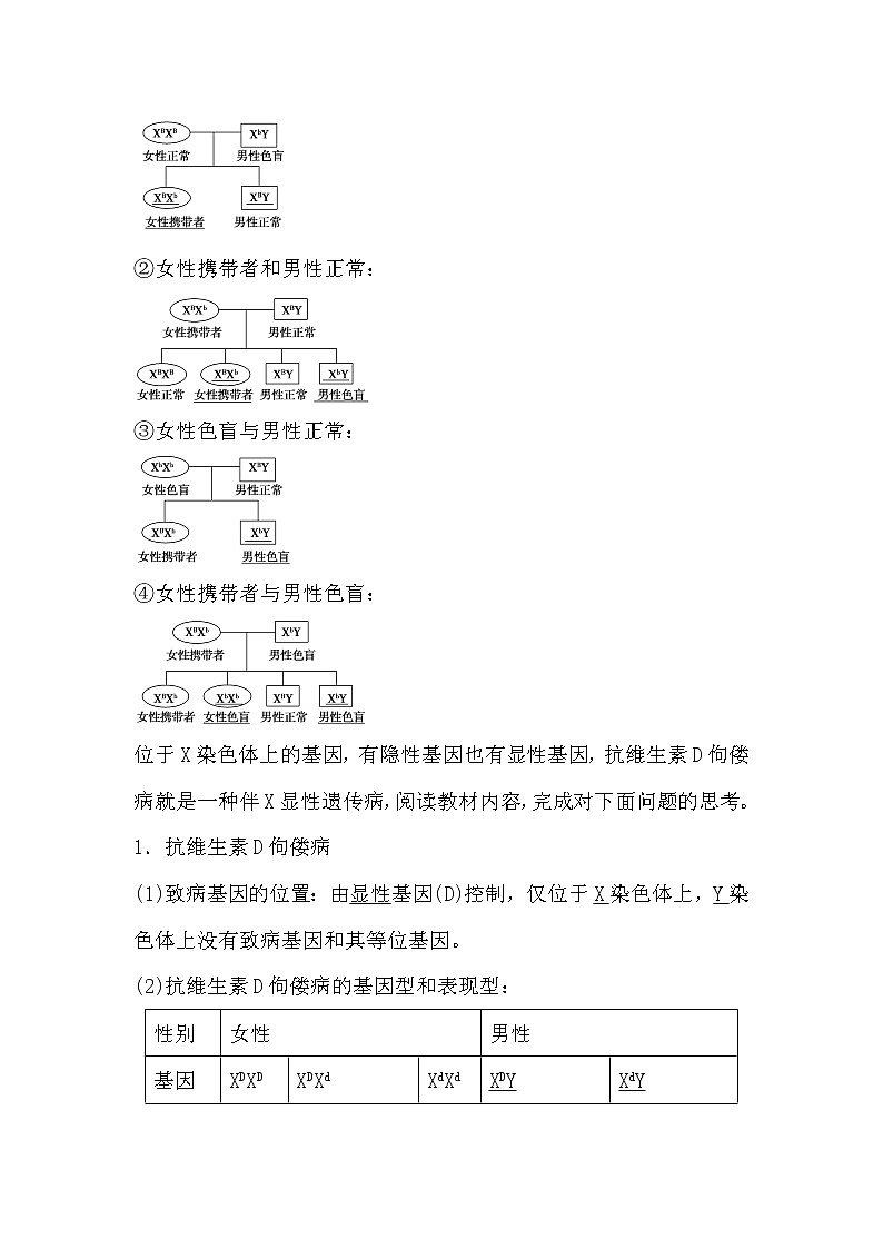 人教版高中生物必修2《遗传与进化》2.3 伴性遗传导学案02