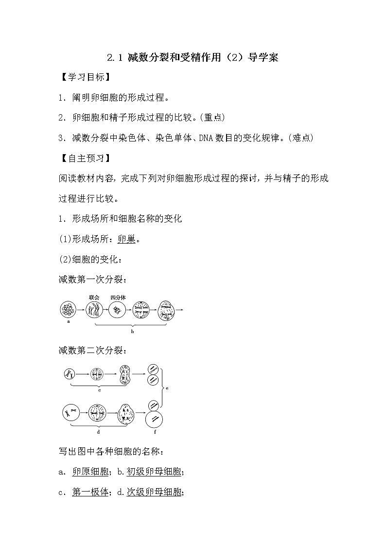 人教版高中生物必修2《遗传与进化》2.1 减数分裂和受精作用（2）导学案01