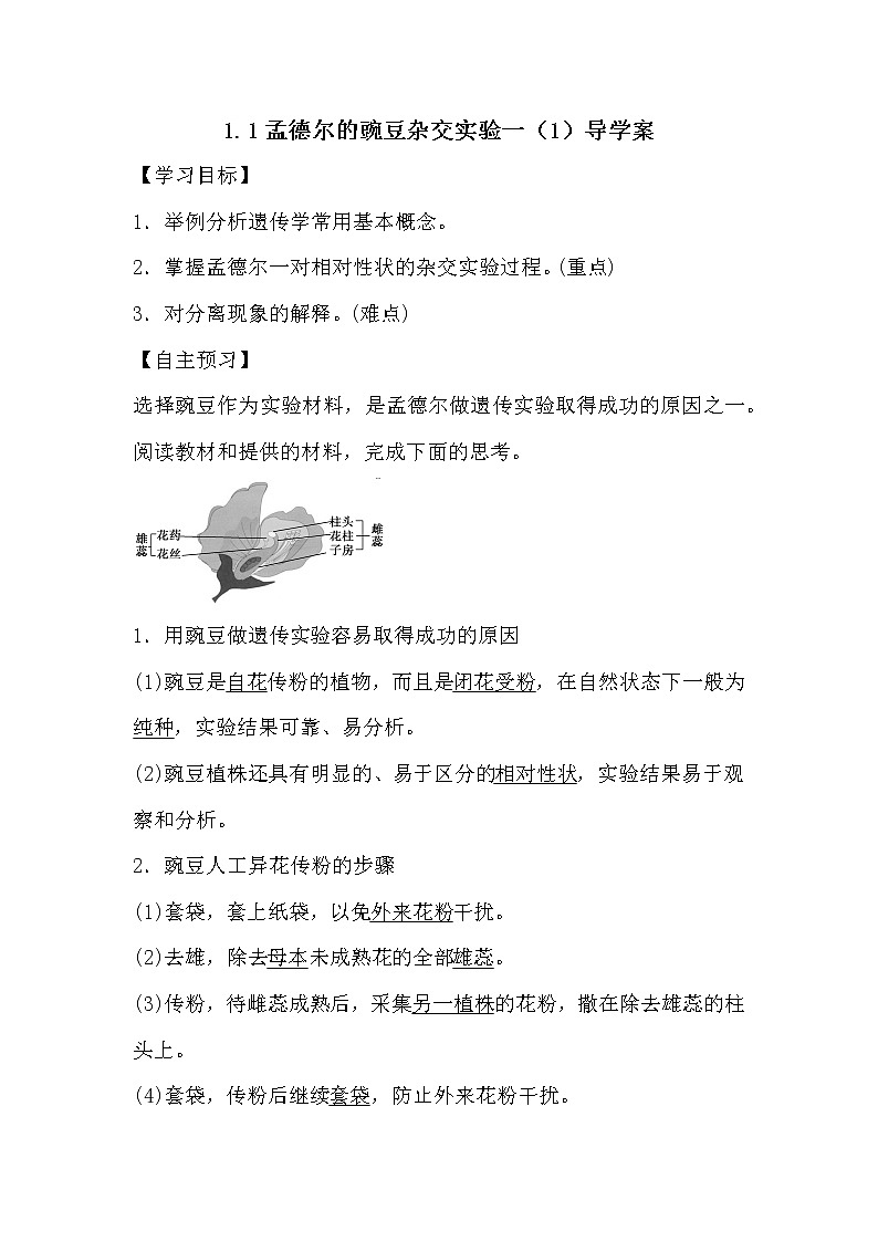 人教版高中生物必修2《遗传与进化》1.1孟德尔的豌豆杂交实验一（1）导学案01