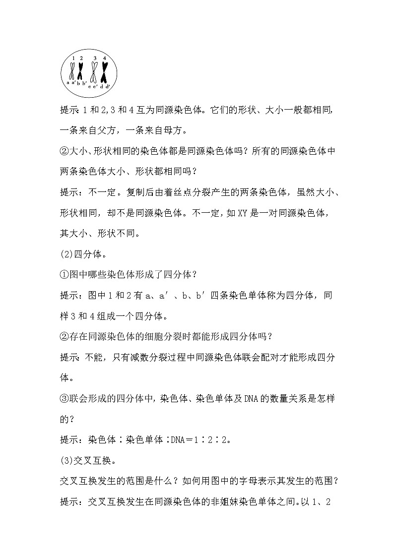 人教版高中生物必修2《遗传与进化》2.1 减数分裂和受精作用（1）导学案02