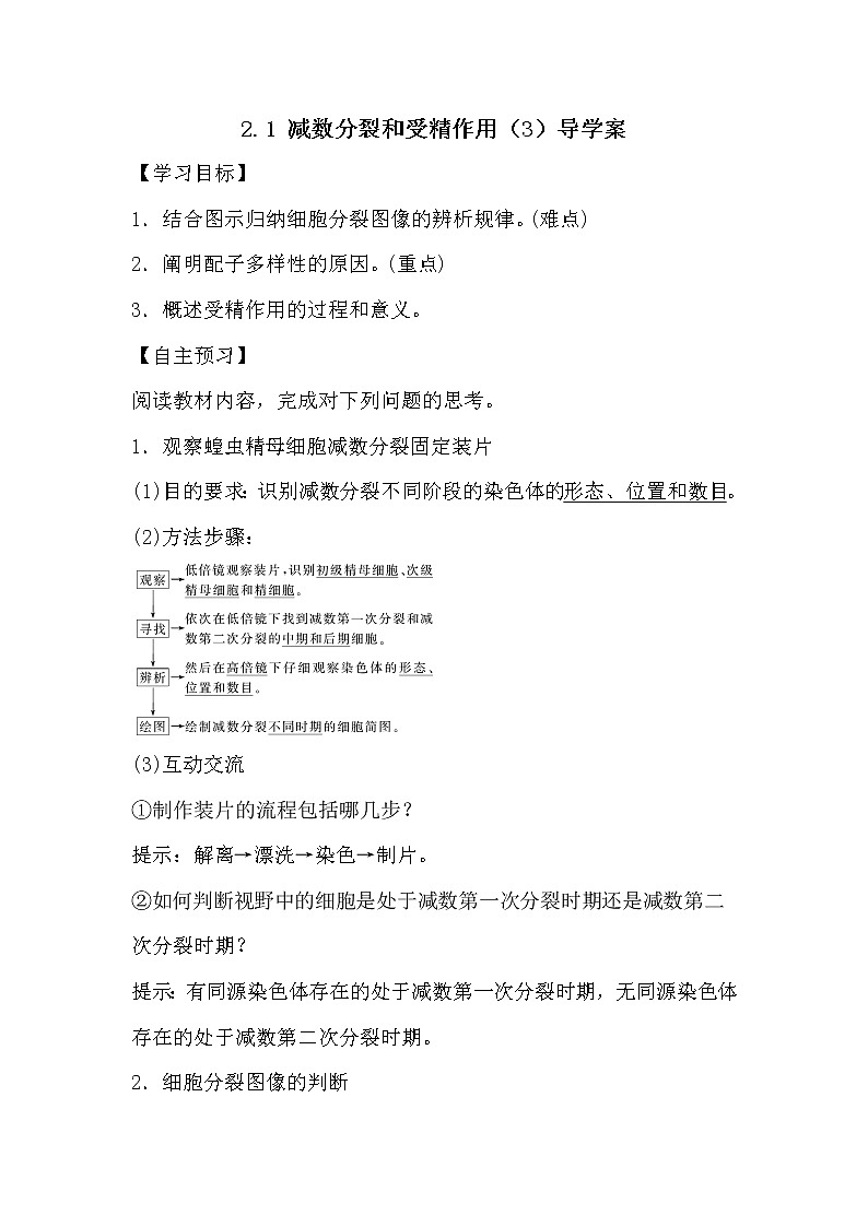 人教版高中生物必修2《遗传与进化》2.1 减数分裂和受精作用（3）导学案01
