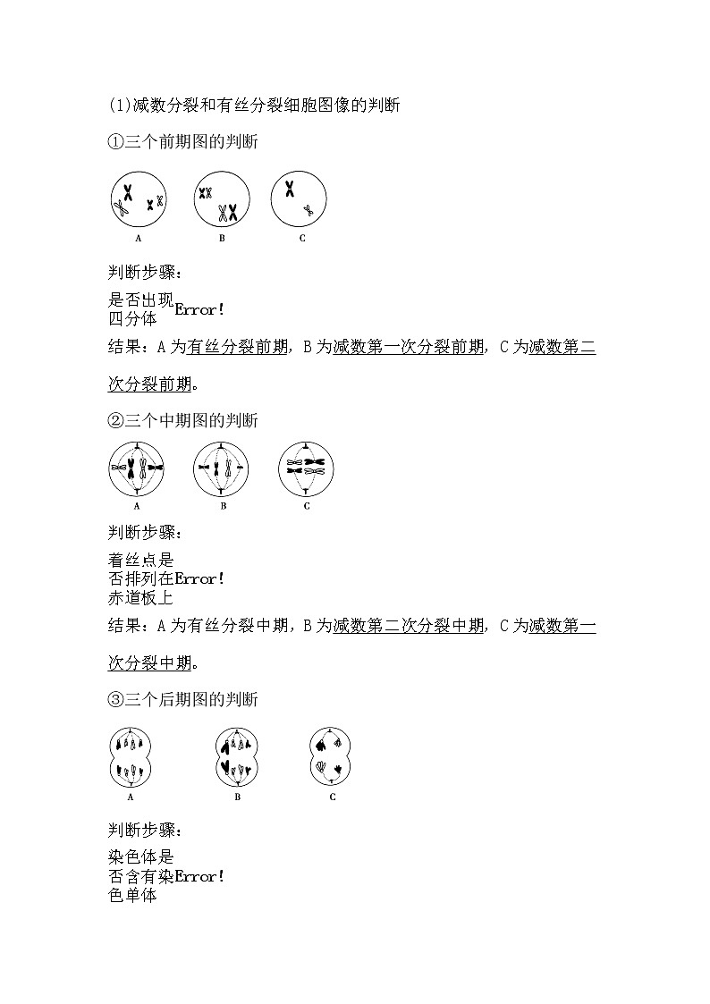 人教版高中生物必修2《遗传与进化》2.1 减数分裂和受精作用（3）导学案02