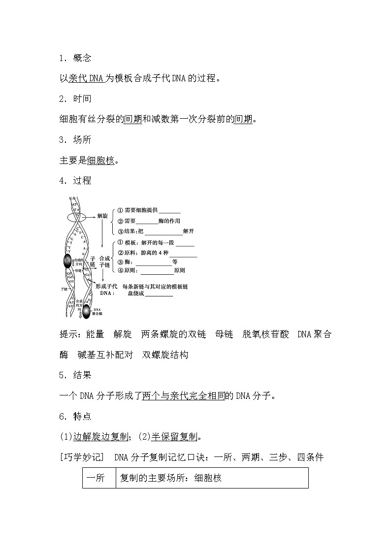 人教版高中生物必修2《遗传与进化》3.3 DNA的复制导学案03