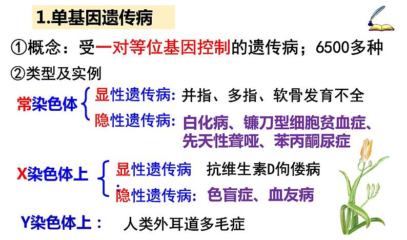 高中生物人教版 (新课标) 必修2课件 5.3 人类遗传病（1）07