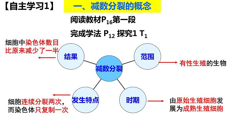 高中生物人教版 (新课标) 必修2课件 2.1 减数分裂和受精作用（1）04