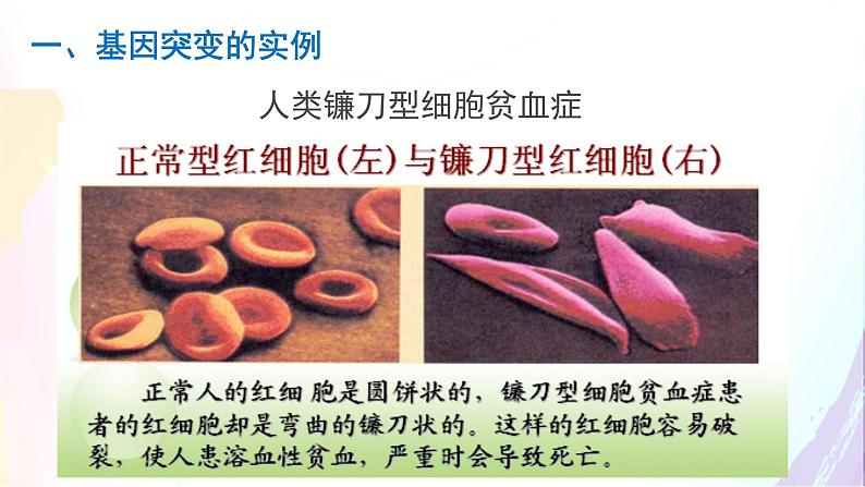 高中生物人教版 (新课标) 必修2课件 5.1 基因突变和基因重组03