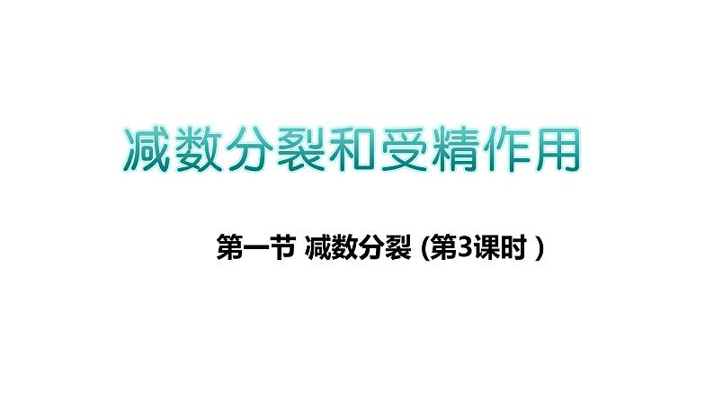 高中生物人教版 (新课标)必修2课件  2.1 减数分裂和受精作用（3）01