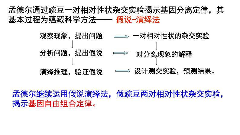 高中生物人教版 (新课标)必修2课件 1.2 孟德尔的豌豆杂交实验（二）05