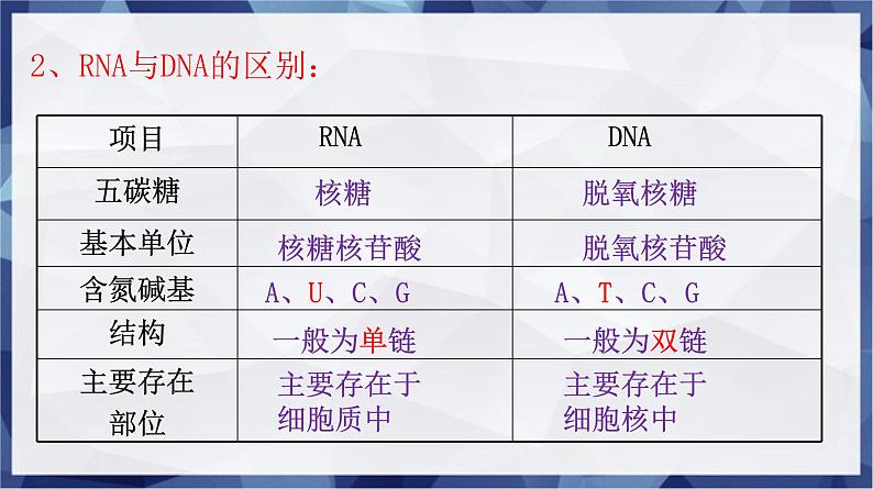 高中生物人教版 (新课标)必修2课件 4.1 基因控制蛋白质的合成（1）07