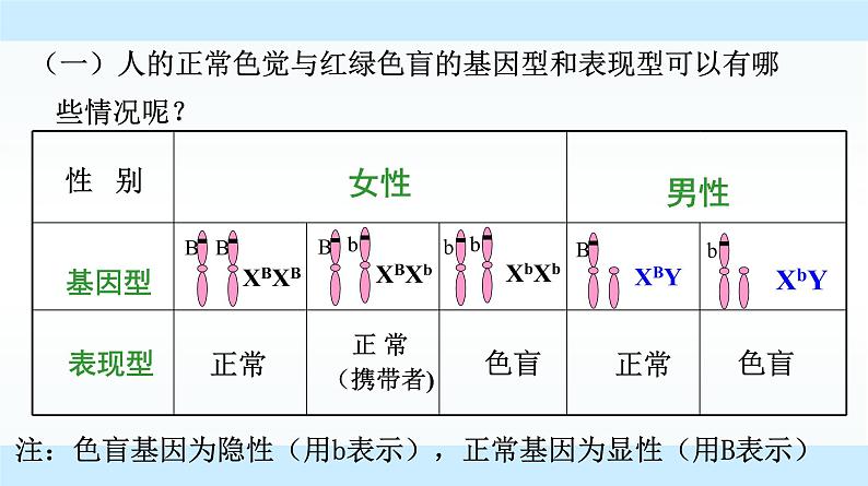 高中生物人教版 (新课标)必修2课件 2.3 伴性遗传07