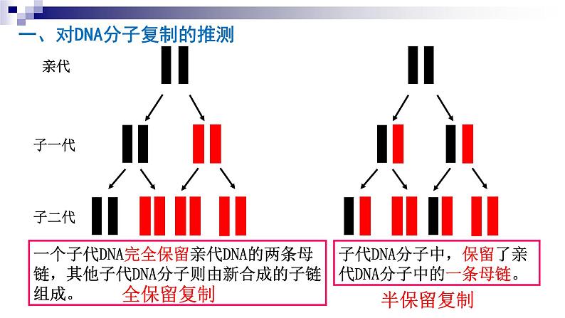 高中生物人教版 (新课标)必修2课件 3.3&3.4DNA的复制&基因是有遗传效应的DNA片段（1）02