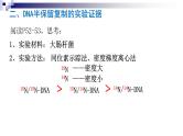 高中生物人教版 (新课标)必修2课件 3.3&3.4DNA的复制&基因是有遗传效应的DNA片段（1）