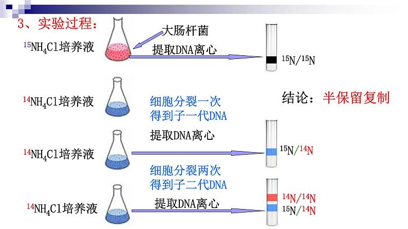 高中生物人教版 (新课标)必修2课件 3.3&3.4DNA的复制&基因是有遗传效应的DNA片段（1）06