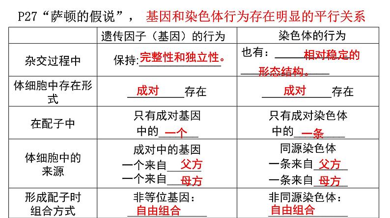 高中生物人教版 (新课标)必修2课件 2.2 基因在染色体上06