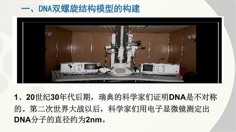 高中生物人教版 (新课标)必修2课件 3.2 DNA分子的结构03