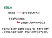 高中生物人教版 (新课标)必修2课件 4.2 基因对性状的控制