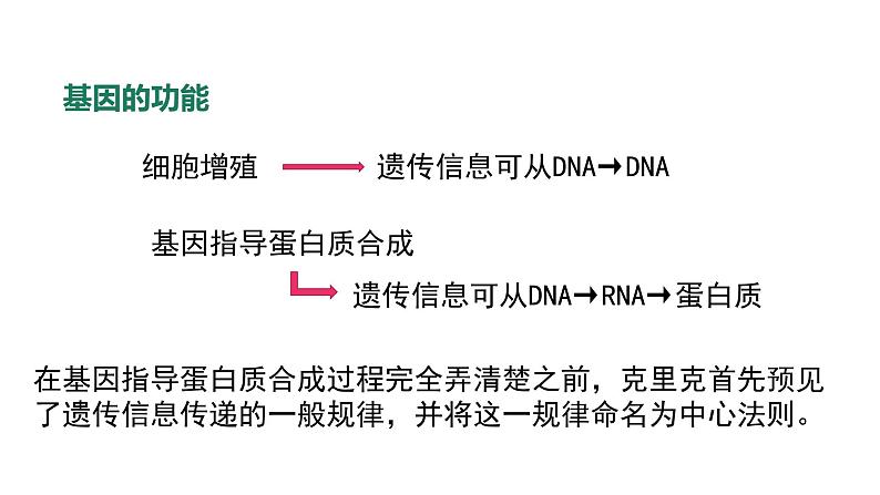 高中生物人教版 (新课标)必修2课件 4.2 基因对性状的控制03