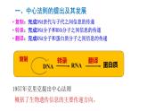 高中生物人教版 (新课标)必修2课件 4.2 基因对性状的控制